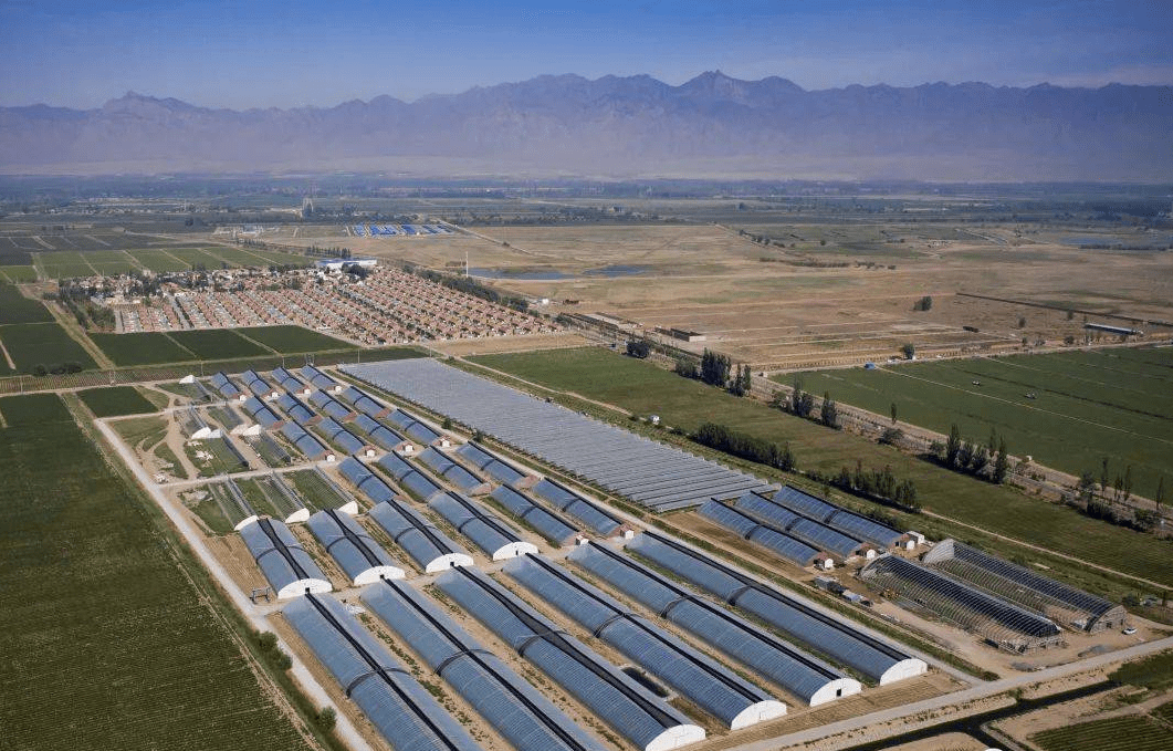 中央一号文件明确指出:2023年设施农业这样干!(图3) 中央一号文件明确指出:2023年设施农业这样干!(图3)